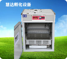 慧達(dá)176枚小型孵化機(jī)