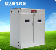 慧達(dá)3520枚全自動孵化機(jī)